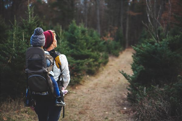 Explore Projects A person with a baby in a backpack enters the woods