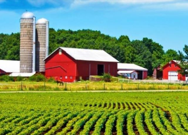 Get information on agriculture and farmland preservation programs in our region. Placeholder