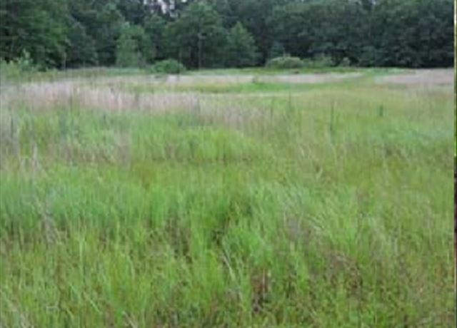 Get info on protection laws and why wetlands are important to our region's future. Placeholder
